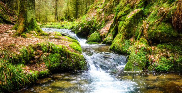 Buvez l&rsquo;eau de la source