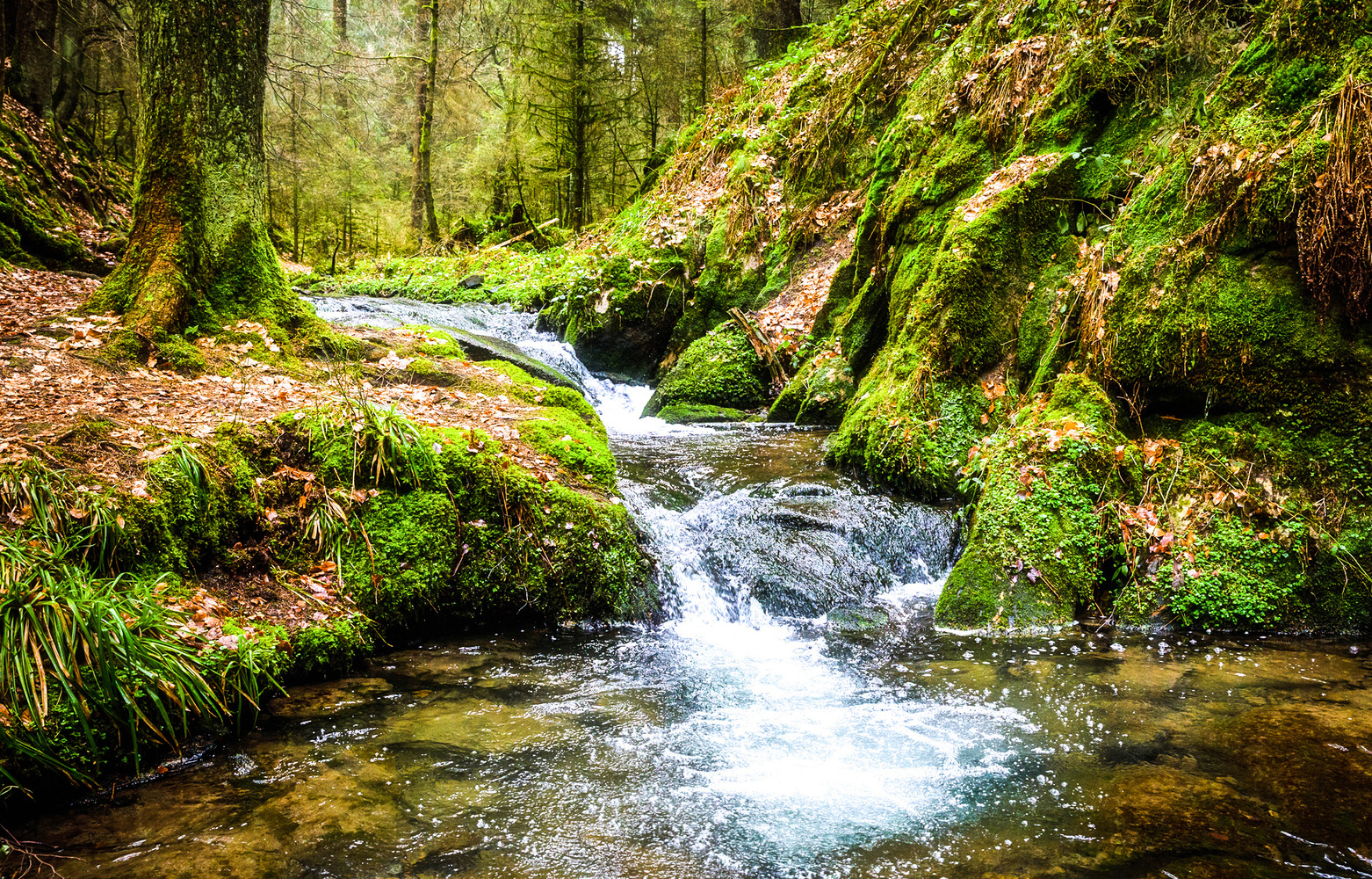 Buvez l&rsquo;eau de la source
